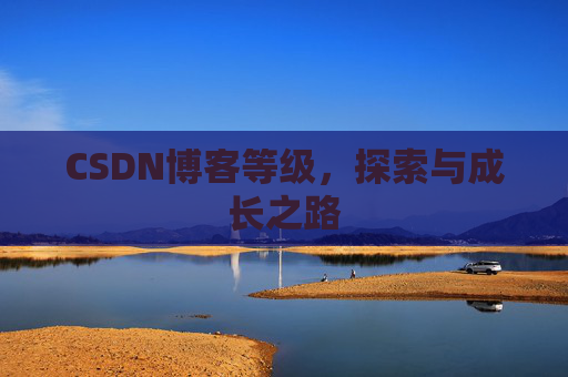 CSDN博客等级，探索与成长之路